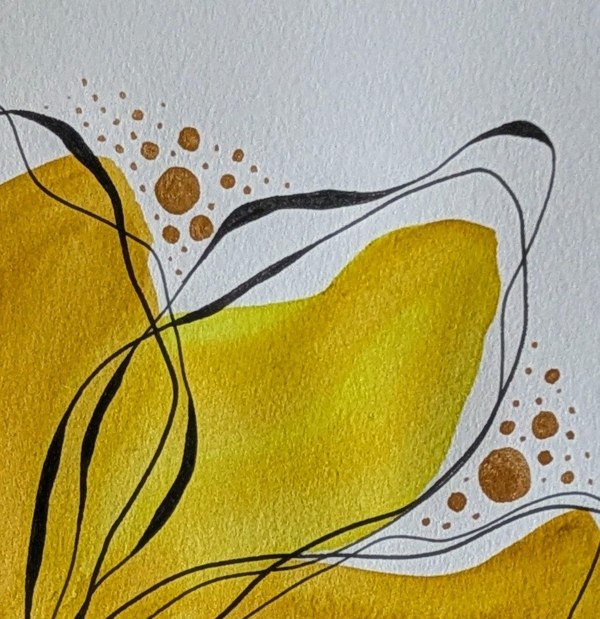 Sunlit Petals
