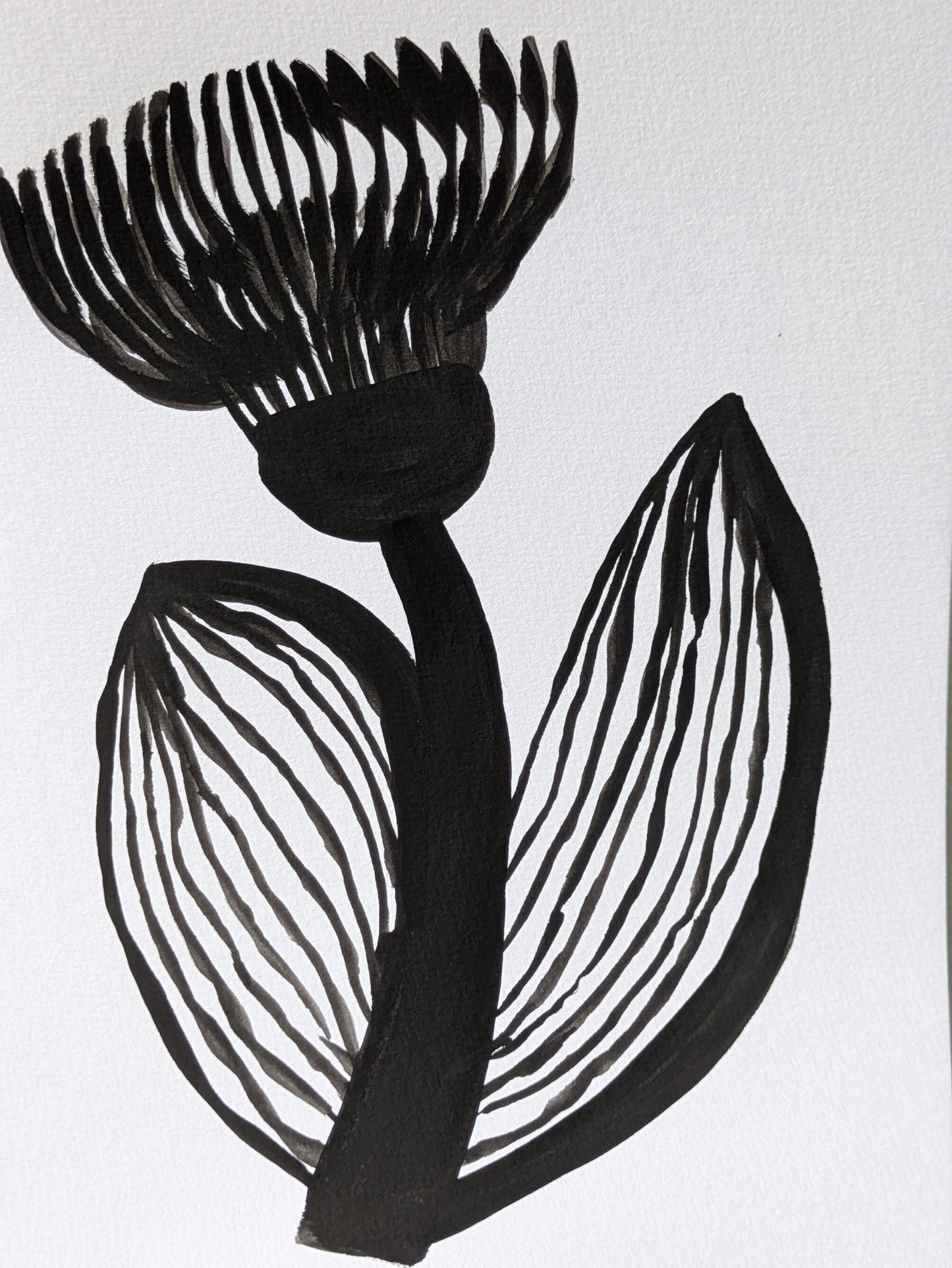 Thistle