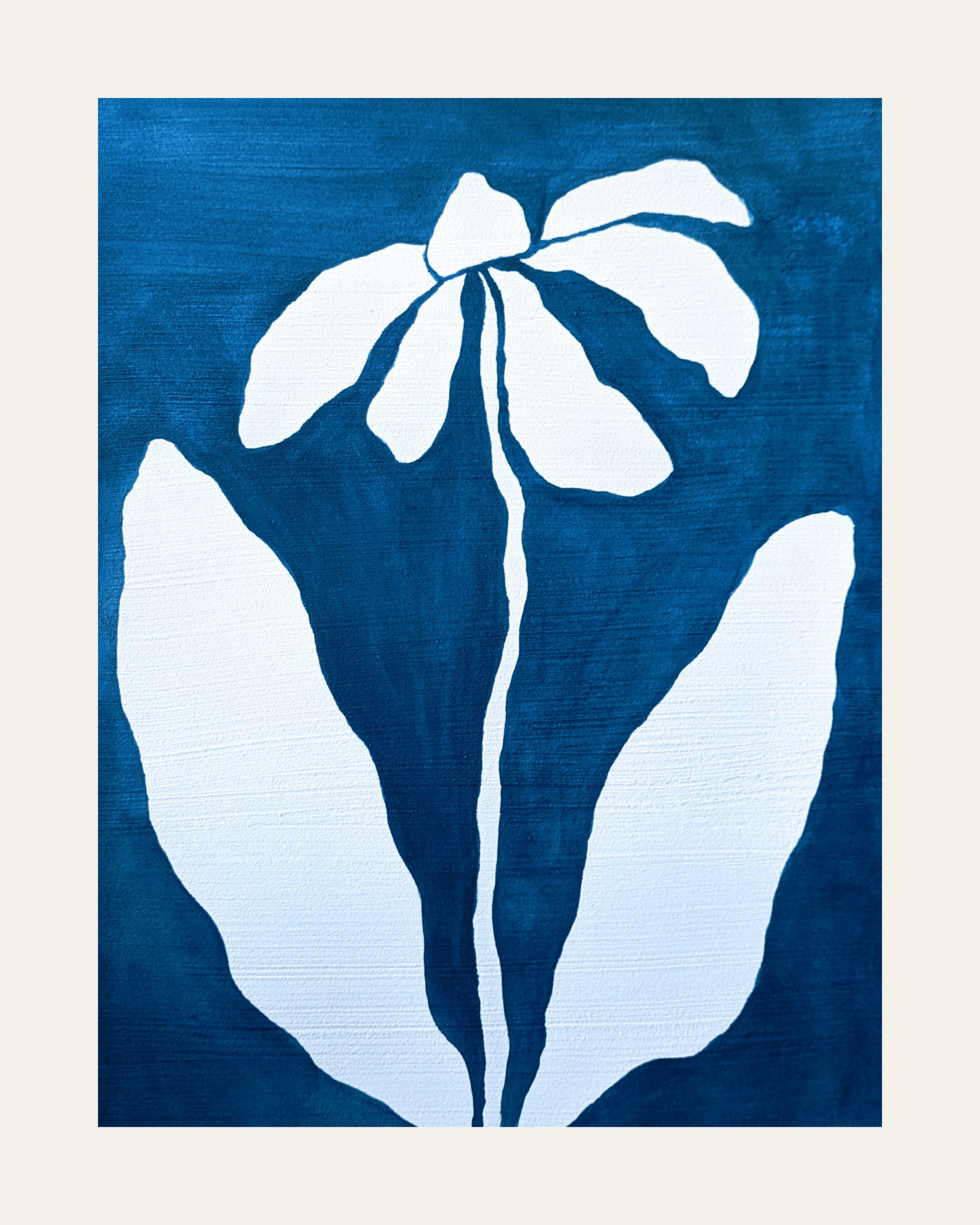 Midnight Bloom