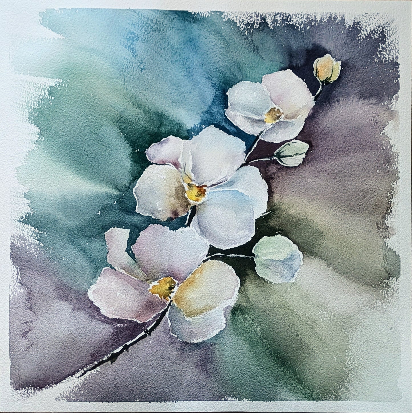 Orchid