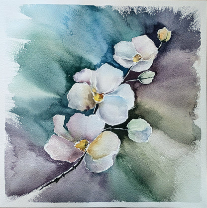 Orchid