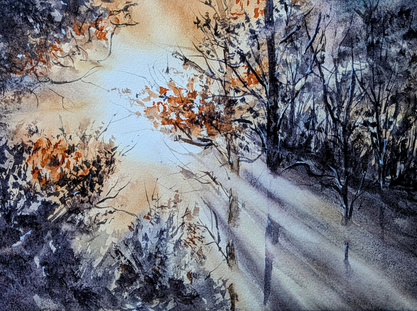 The light